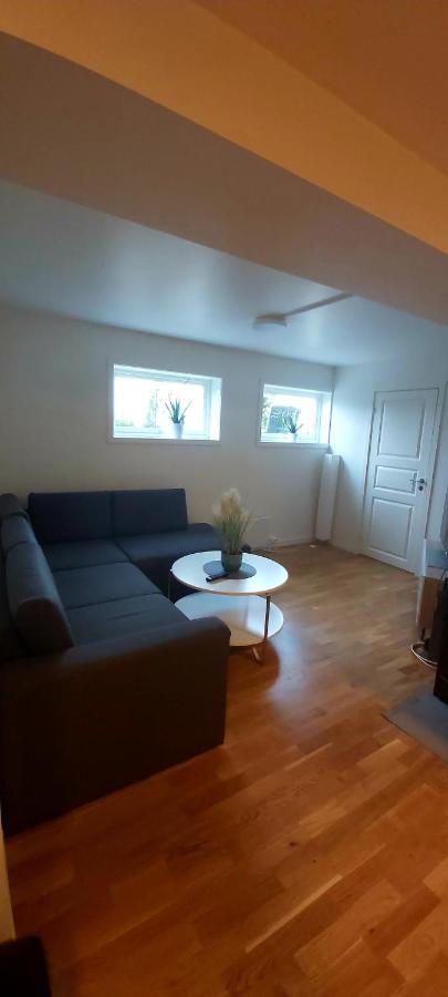 Aurora Rooms In Shared Apartment Nr1 We Are Doing Privet Northen Light Trip, Reindeer Trip And Sommaroy Fjord Trip Tromsø Eksteriør bilde